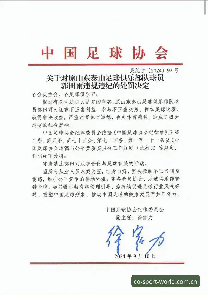 2026中欧体育入口 揭秘中国足协第三批禁足名单:65人遭重罚,足球反腐背后的深度观察